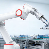 6 Eksenli 5kg Taşıma Kapasiteli CNC Cobot İşbirlikçi Robot Kolu, Çin Megmeent ile Cobot için