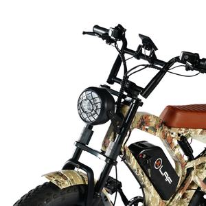 Bicicleta Eléctrica de 20 Pulgadas con Batería de Iones de Litio de 750 W, 48 <span class=keywords><strong>V</strong></span>, 72 <span class=keywords><strong>V</strong></span>, 14 Ah, con Pantalla LED - Product Image 3