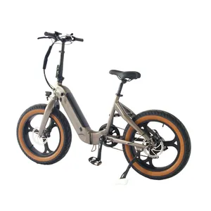 Hot Selling 20 Inch Opvouwbare Lithium Batterij Elektrische Fiets 7-Speed Vetband E-Bike Mini Fiets Schijfrem E-Bike