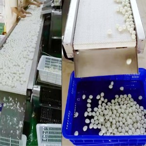 Tekfood dây chuyền chế biến thực phẩm Trứng chim cút Máy nồi hơi trứng cút và máy cắt vỏ máy nấu trứng cút công nghiệp - Product Image 4