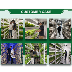Ampia Fattoria in Container con Sistema Idroponico Verticale per Coltivazione di Verdure, Serra Climatizzata a Funzionamento Automatico - Product Image 5