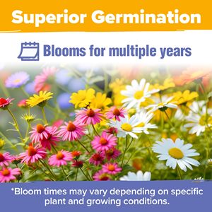 25 varietà attraente perenne Wildflower pack per il giardino all'aperto farfalla e uccello che attira <span class=keywords><strong>fiori</strong></span> in <span class=keywords><strong>vaso</strong></span> - Product Image 5