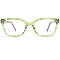 Lunettes optiques unisexes transparentes vertes, bleues, jaunes, à imprimé animal, monture intégrale ovale, confortables, légères, pour adultes