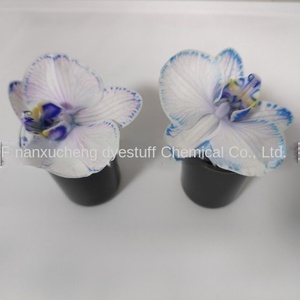 Agente Absorbente de Flores, Pigmento para Phalaenopsis, Absorción por Rizoma, Colorante Ácido Soluble en Agua de Alta Concentración, Colorante Especial - Product Image 2