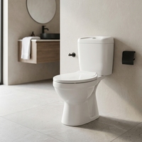 WC moderne en céramique à double chasse, cuvette carrée, siphon en P, chasse cyclonique, 2 pièces, à poser au sol, pour salle de bain