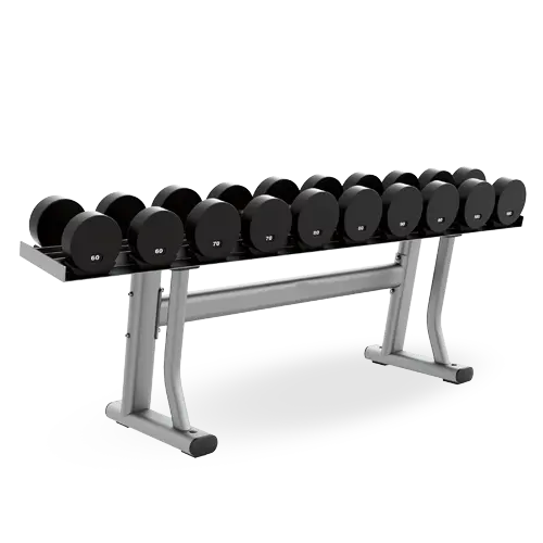 Offre Spéciale haute qualité Haltère Rack Gym 2 niveaux stockage haltère ensemble support pour 10 paris haltère rond