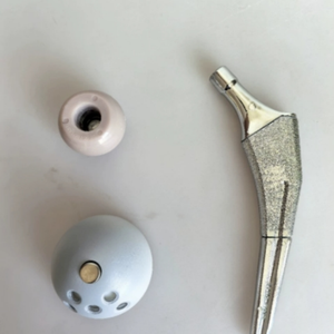 แบบจำลองข้อสะโพกเทียมรุ่นใหม่ปี 2025 คุณภาพสูงสำหรับการเรียนการสอนทางการแพทย์ - Product Image 6