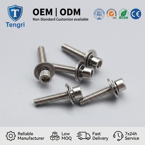 Tornillo Allen de Acero Inoxidable DIN912 con Cabeza Cilíndrica Hexagonal, Rosca Moleteada y Arandela Plana - Product Image 1