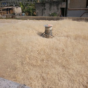 Máy Sục Khí Nổi Bề Mặt SAR Kết Hợp Sục Khí, Khuấy Và Đẩy Dòng Chảy Trục Thẳng Đứng Máy Sục Khí Tuabin Chất Lượng Cao - Product Image 4