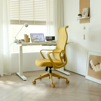 Chaise de bureau ergonomique moderne pour personnel, pivotante, réglable en hauteur, avec coussin moelleux, chaise de direction en maille