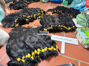 Cheveux vierges bruts du Vietnam en gros, lisses, super double trame, 100% cheveux humains, non traités, cuticules alignées - Product Image 2