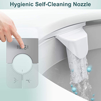 Accessoire de bidet non électrique pour toilettes, double buse, autonettoyant, pression d'eau réglable, eau froide, en stock aux États-Unis, vente en gros