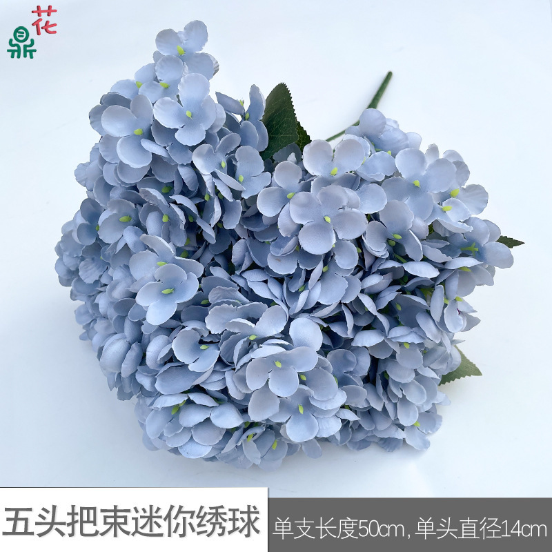 Mini Hortensia à cinq têtes WZT Misty Blue