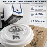 Printer Inkjet Digital Ramah Lingkungan Berkecepatan Tinggi Kompak Baru dengan Sistem Pemotong Otomatis untuk Tutup Kertas, Selongsong Peralatan Makan, dan Label Gantung Kecil