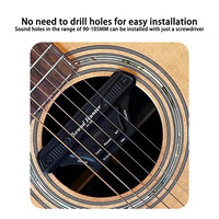 Installation de prise de charge d'accessoire de guitare EQ à double canal avec amplificateur de vibration