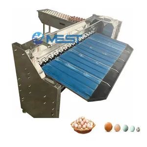 Automatic grade chicken eggs sorting by weight Egg grading machine