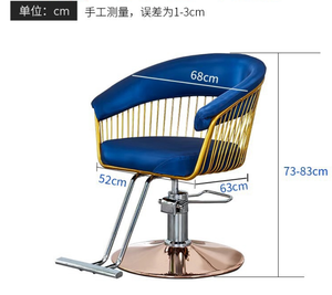 Sillón de Barbería Hidráulico Plegable de Metal con Altura Ajustable, Muebles de Salón de Belleza de Lujo - Product Image 6