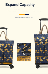 Muti-chức năng mua sắm tote giá cả cạnh tranh phụ nữ Xe đẩy Túi du lịch Trọng lượng nhẹ Túi du lịch với bánh xe xe đẩy Kit - Product Image 5