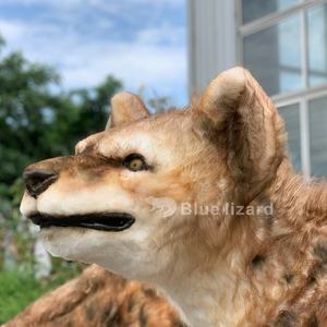 Vendita calda animale Animatronic alta simulazione <span class=keywords><strong>Crocuta</strong></span> <span class=keywords><strong>Crocuta</strong></span> Spelaea cane modello - Product Image 5