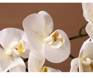 F-B0006 soie plante décoration de la maison papillon <span class=keywords><strong>orchidée</strong></span> fleur artificielle Phalaenopsis <span class=keywords><strong>fausse</strong></span> Table fleur décorative - Product Image 4