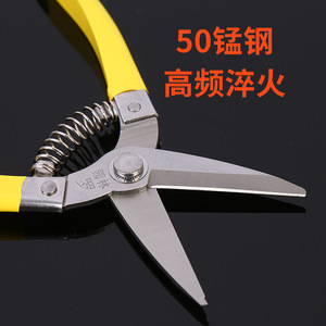Sécatrices de taille-haie Luoding en acier inoxydable à tête droite, longueur de lame 30 mm, diamètre de coupe 10-20 mm, outils de jardinage - Product Image 4