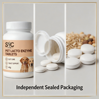 Comprimés enzymatiques d'acides lactiques SYC pour animaux de compagnie, 40g, soutien digestif intestinal avec vitamine B et levure pour chats et chiens, vente en gros, OEM