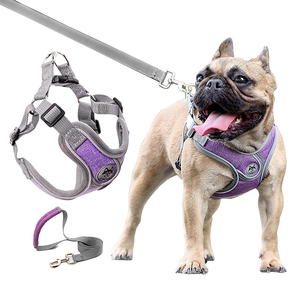 Customized New <b>Small</b> and Medium-sized <b>Dog</b> Reflective Anti-breakaway Vest-style <b>Dog</b> Chest Strap <b>Dog</b> Leash - Product Image 2
