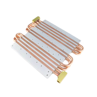 Placa de Enfriamiento Líquido de Acero Inoxidable con Doble Tubo de Calor, de Alta Potencia, para Refrigeración, Servicios de Doblado, Corte y Soldadura, Marca Bw 1