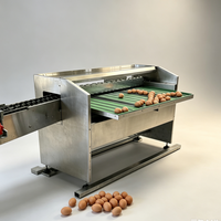 Machine de triage d'œufs de haute précision, équipement de triage automatique par poids, adapté à la production d'œufs frais et crus