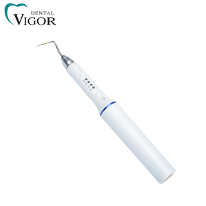 Dental Endodontic Gutta Percha Obturation <b>Pen</b> 2 Baterry 4 Tips Dental Obturation Endo Heated <b>Pen</b> - Product Image 6