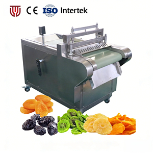 Equipo Multifuncional de Gran Escala para Cortar en Dados Dátiles y Frutas Secas Mixtas para el Procesamiento de Frutas y Verduras - Product Image 1