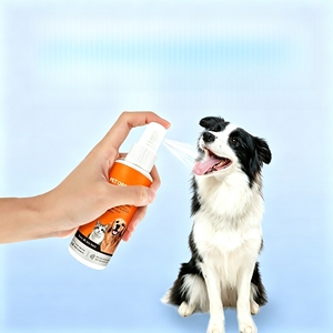 สำหรับลูกแมวในราคาสุดคุ้ม - Product Image 1