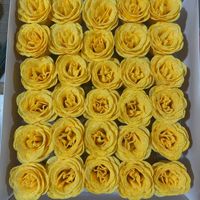 Harga Grosir Bunga Glitter 30Pcs/Kotak  Bunga Artifisial Warna-warni Perlengkapan Dekorasi Pernikahan Dekorasi Pesta
