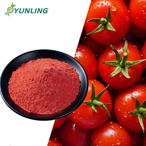 天然食品グレード抗酸化ハーブエキス トマトエキス粉末 99% リコピン ステビア＆5-HTP配合 真空パック缶入り - Product Image 1