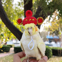 Vente chaude Top Chapeaux pour Petits Animaux Hamsters Rats Serpents Lézards Cochons D'inde Vêtements Costume Accessoires pour Holi