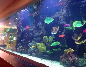 <span class=keywords><strong>Aquarium</strong></span> <span class=keywords><strong>mural</strong></span> en acrylique, fournisseurs d'<span class=keywords><strong>aquarium</strong></span> à poissons, verre à l'intérieur du mur d'<span class=keywords><strong>aquarium</strong></span> à poissons - Product Image 2