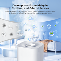 Humidificateur d'air pour hôtel avec fonction ozone 2-en-1 : humidification et purification