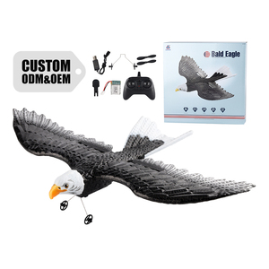 2.4GHz 2CH điều khiển từ xa <span class=keywords><strong>b</strong></span>ọt máy bay đồ chơi mô phỏng Sải Cánh Đại <span class=keywords><strong>B</strong></span>àng RC tàu lượn máy bay đồ chơi - Product Image 1