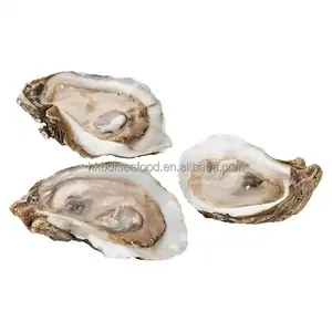 Freshwater high quality frozen half shell pacific oyster