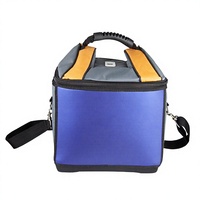 Bolsa Térmica Portátil Plegable Impermeable de Poliéster Médico de 16L con Logotipo Personalizado Badu BD8016, Ecológica, con Temperatura Digital