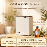 Diffuseur de parfum commercial pour hôtel à commande radar IA, 800 ml, en plastique, machine électrique sans eau à deux liquides, télécommande