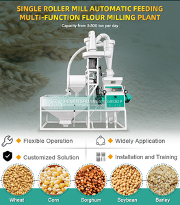 Mini Molino Compacto de 5 TPD para Cereales (Trigo, Maíz, Arroz Negro) - Planta Compacta para Pequeños Negocios - Product Image 6