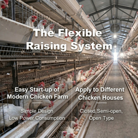 Système d'équipement avicole pour l'élevage de poules pondeuses automatiques en cages de type H à batterie, à vendre