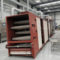 Droogmachine voor tarwe en maïs, continu-droogmachine voor fruit en groenten met heteluchttransportband