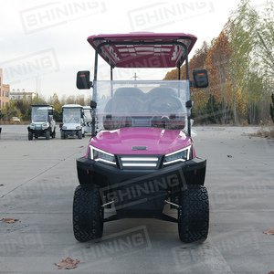 Voiture de golf Shininglsv Import Utility électrique 48v 6 places à vendre - Product Image 4