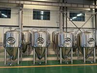 Fermenteurs coniques en acier inoxydable Cassman 10bbl Unitank avec réservoir sous pression pour la brasserie de bière en stock et en vente