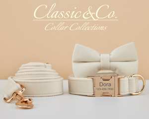 Personalizado con hebilla de metal con Nombre de mascota grabado, collar de perro Veet crema y juego de correa con campana y lazo, envío gratis - Product Image 3