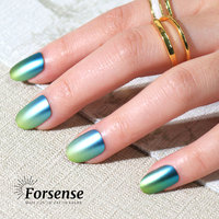 Ongles à pression chromés Abs réutilisables Conseils Courts Longueur Ovale Porter des Ongles Fournitures Métallique Dégradé Vert Designs Ongles Artificiels