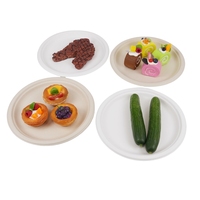 2025 vente chaude assiettes à dîner écologiques de canne à sucre naturelle assiettes à dîner en papier de bagasse jetables