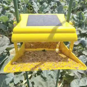 Chilo suppressala controllo dei parassiti falena trappola luce controllo De Plagas - Product Image 4